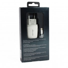 Câble lightning  + Chargeur secteur 1A