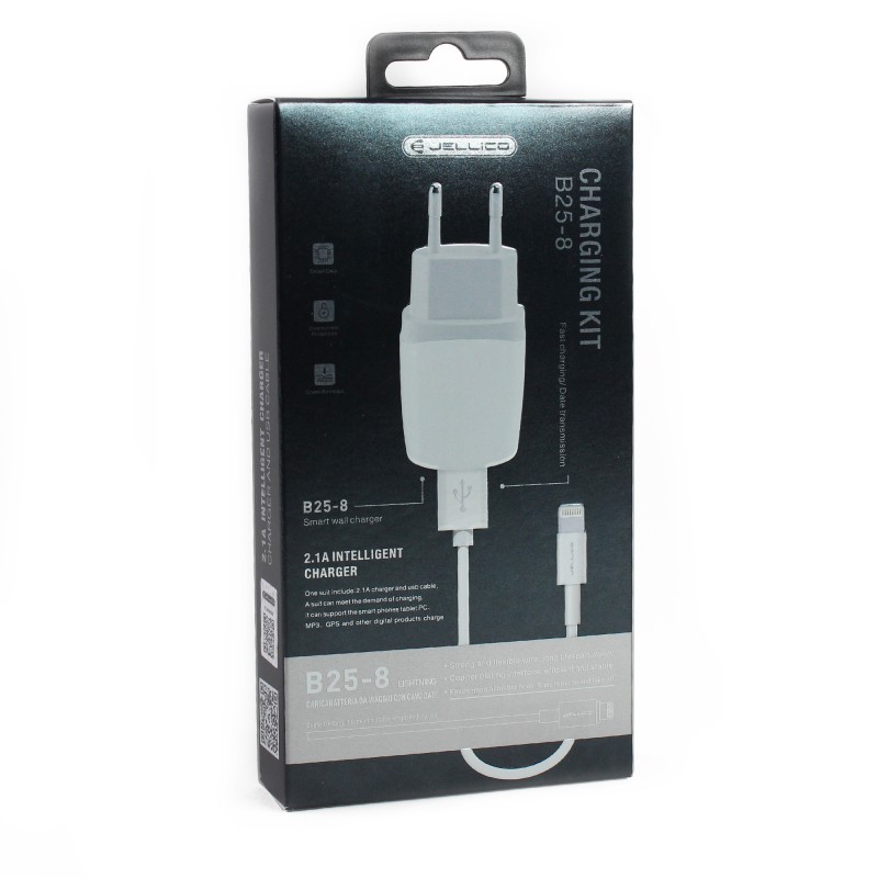 Câble lightning  + Chargeur secteur 1A
