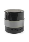 Mini Enceinte Haut-Parleur Stéréo Bluetooth