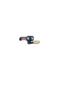 Antenne NFC (masse) - iPhone 6