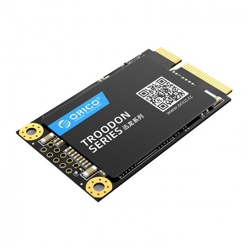 SSD mSATA (128Go / 256Go / 512Go / 1To)