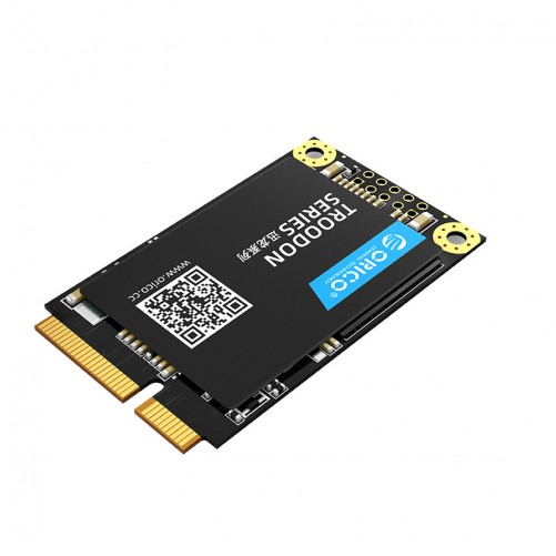 SSD mSATA (128Go / 256Go / 512Go / 1To)