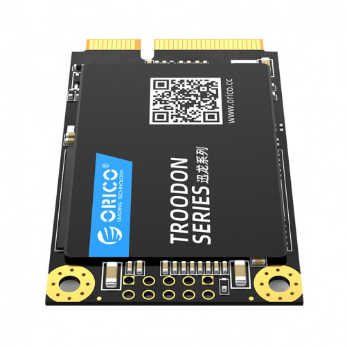 SSD mSATA (128Go / 256Go / 512Go / 1To)