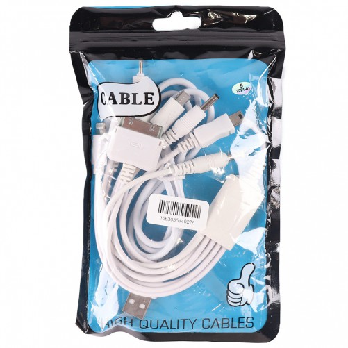 Câble USB universel (10 en 1)