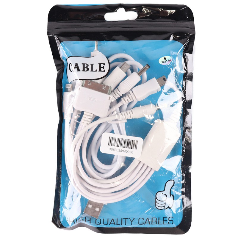 Câble USB universel (10 en 1)