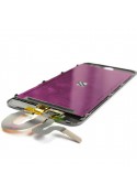 Ecran complet - iPod Touch 5G