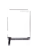 Ecran LCD - iPad Mini 3