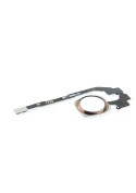 Nappe + Bouton Home OR ROSE - iPhone 5S / SE