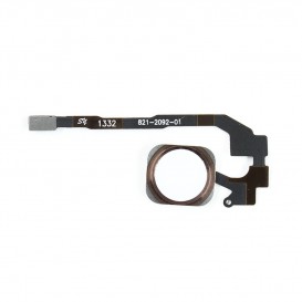 Nappe + Bouton Home OR ROSE - iPhone 5S / SE