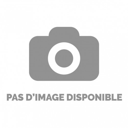 Batterie (Officielle) - Galaxy Trend