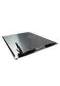 Ecran LCD - iPad 5 (2017)