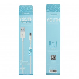 Câble USB Type-C (Data & Charge)