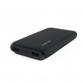 Batterie externe (10 000 mAh)
