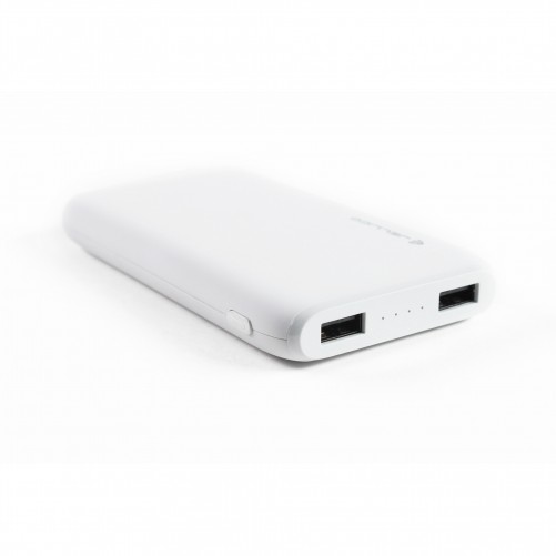 Batterie externe (10 000 mAh)